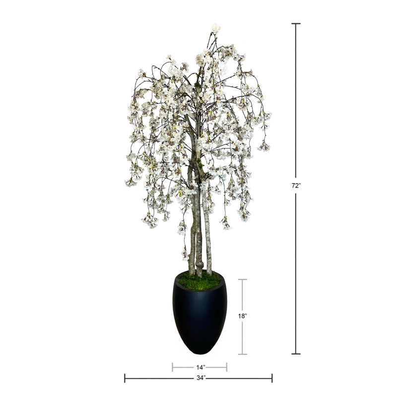 Cerisier blanc 6 pi avec pot de fleurs noir, 72"