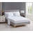 Ruffled Edge Microfiber Bed in a Bag Comforter Set-595734560-595734744