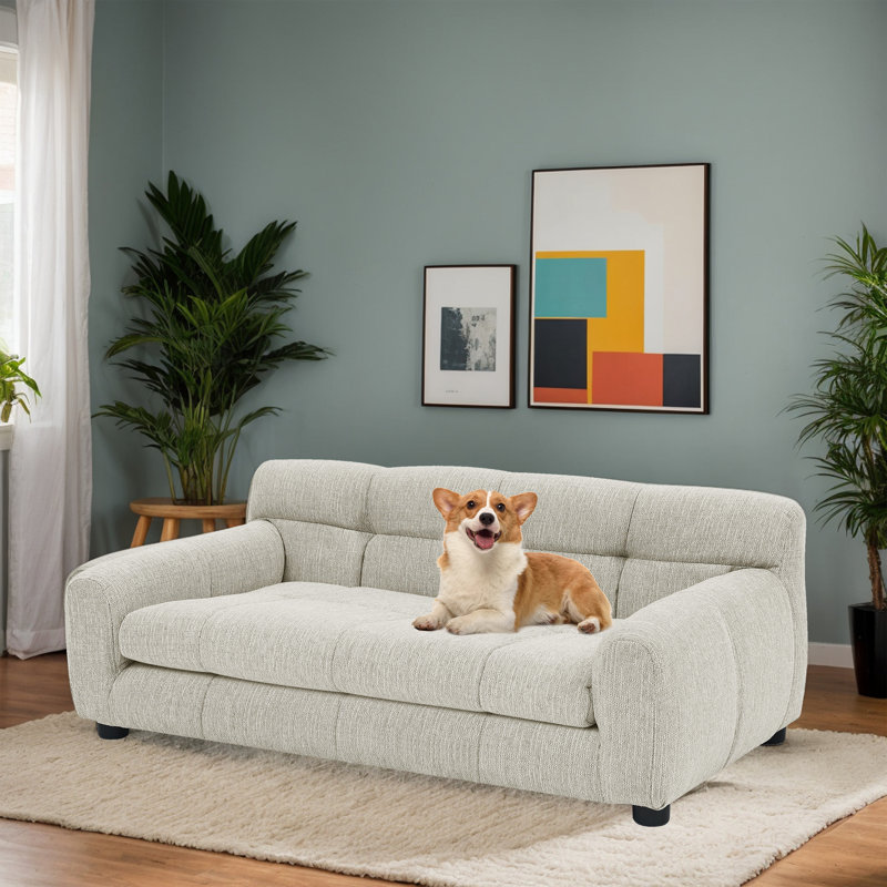 Canapé pour animaux de compagnie , Beige