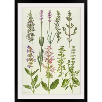 Elizabeth Rice Traditional