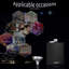 Stainless Steel Flask