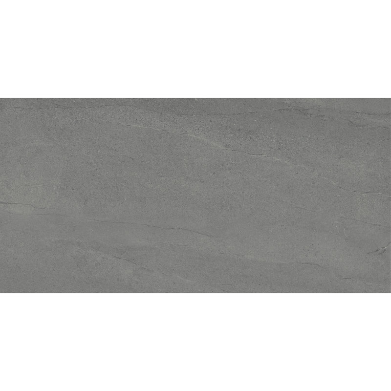 Daltile Calgary 24 x 48 Polished Porcelain Floor Tile (2 PC Per Carton) (15.26 SQFT Per Carton), Armor