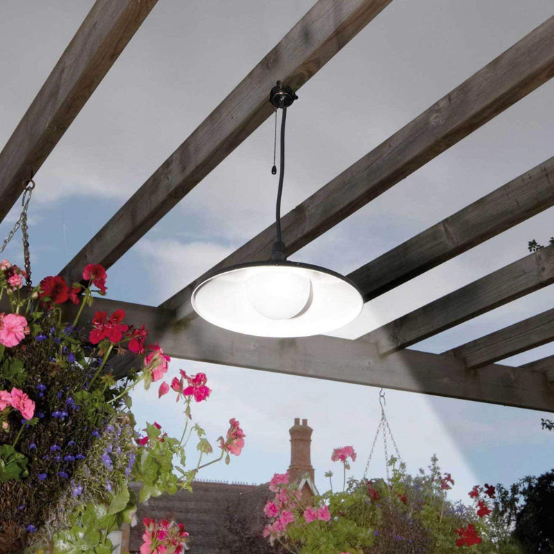 Arleon 1 - Light Bell Pendant