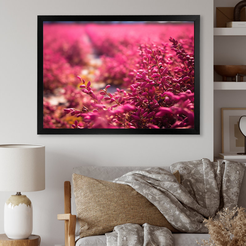 «Fushia Blooming Abstraction I», reproduction sur toile, Cadre simple noir, H 12 po x l 20 po x P 1 po