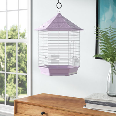 Cage à oiseaux avec perchoir en plastique à toit pointu 21,5 po Borrero