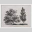 "Gray Trees Vintage Rustic Artwork, impressions encadrées, affiches, petit art mural de salle de bain"-101825391-101825375
