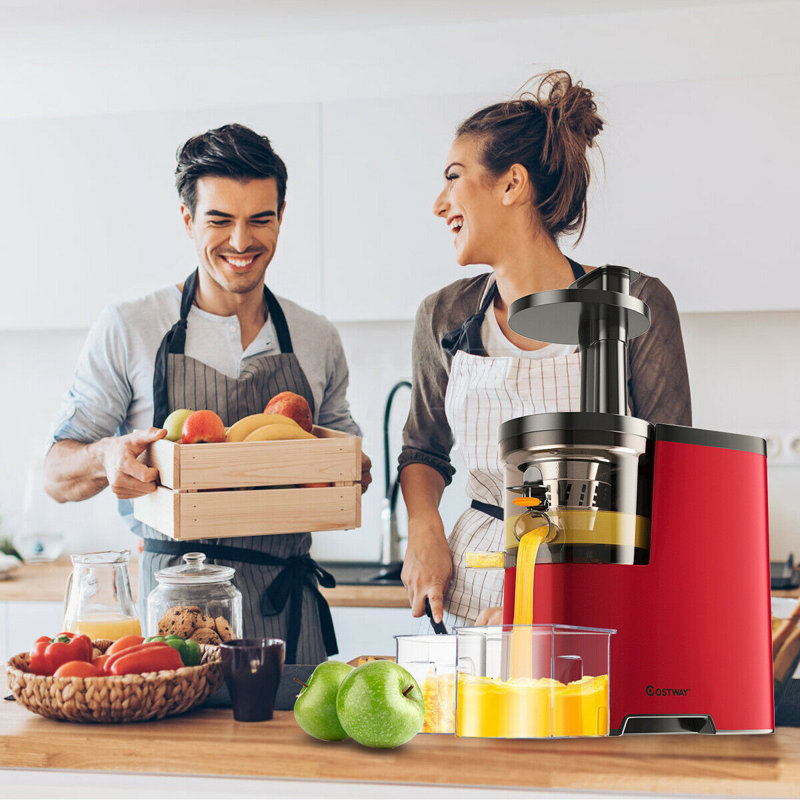 Costway Slow Masticating & Cold Press Juicer