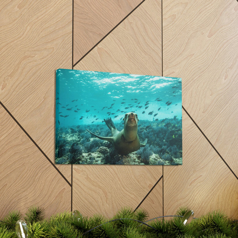 No Frame Print on Canvas, 30.48cm H x 40.64cm W