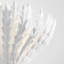 AERIN Hampton Wall Light-51177052