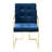 Vannessa 19'' H Tufted Upholstered Arm Chair-36293750-36283552