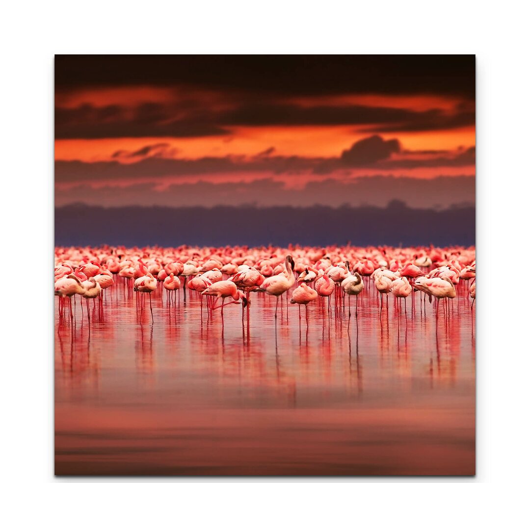 Leinwandbild Flamingos im Sonnenuntergang