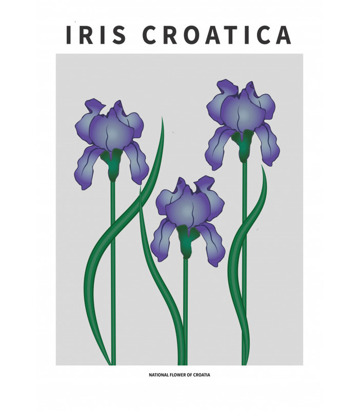 "Iris croate", art mural texturé encadré, Noir, H 24 po x l 18 po