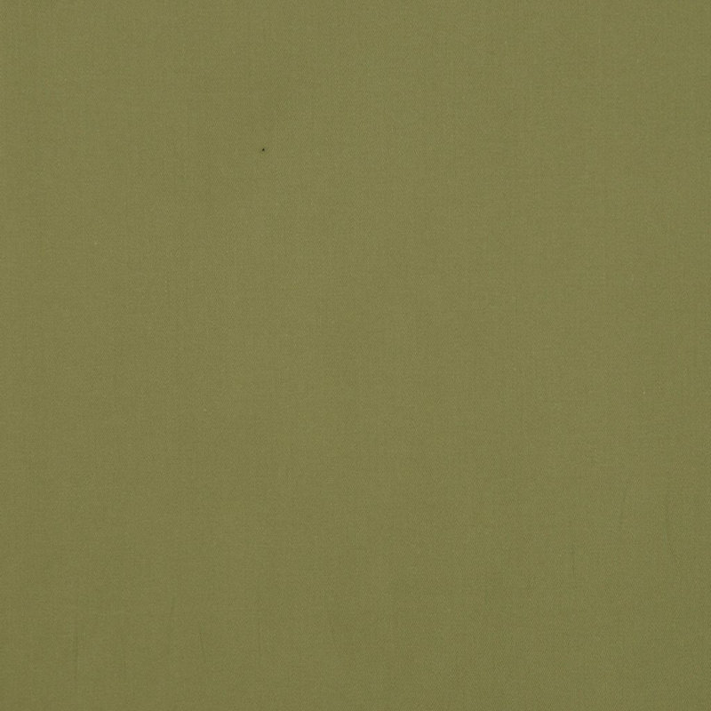 Platinum Fabric, Turtle