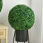 40cm Faux Boxwood Topiary in Pot