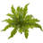 Fern Artificial Plant