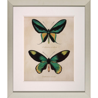 Bejeweled Butterfly " Bejeweled Butterfly I "
