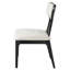 Chaise d'appoint Aaryan (ensemble de 2)