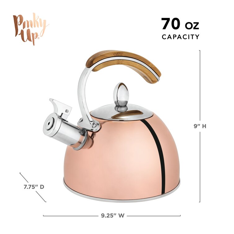 Whistling Stovetop Tea Kettle, Stainless Steel with Color Changing That'S  Hot