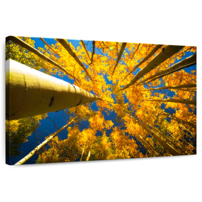 Harnek Under The Golden Aspens