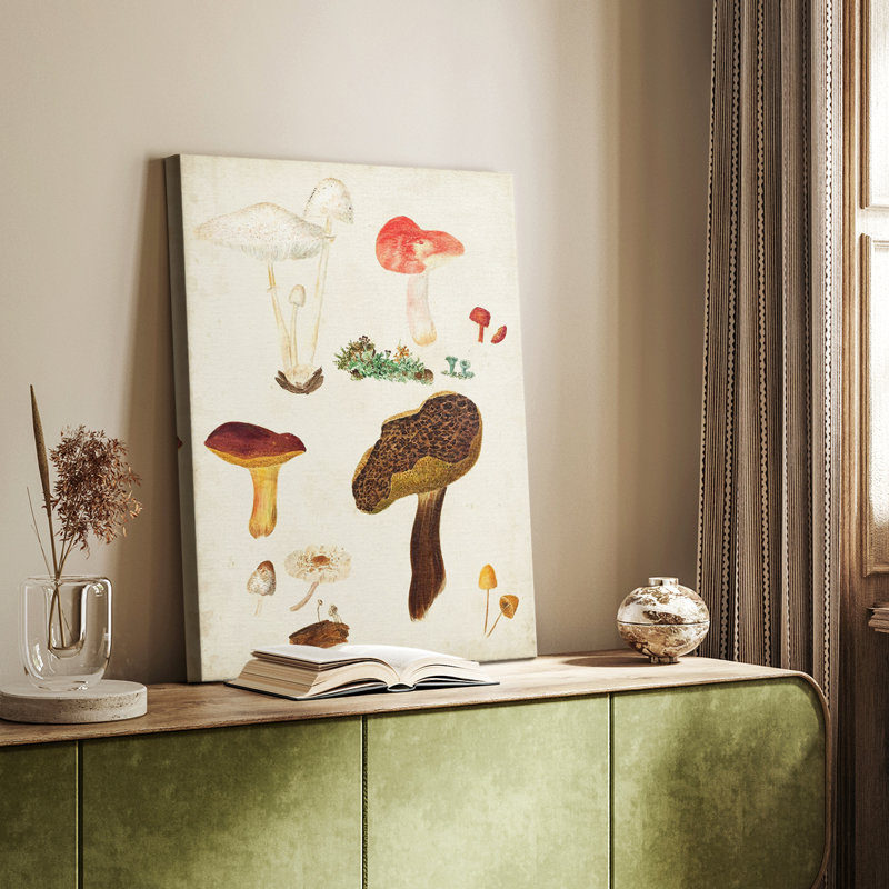 Mushroom Species XI - Gallery Cavas, H 12 po x l 8 po