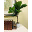 Figuier artificiel 20,5 po en pot