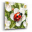 Art mural en verre Ladybug Spring 1 'par Momart-2090048705