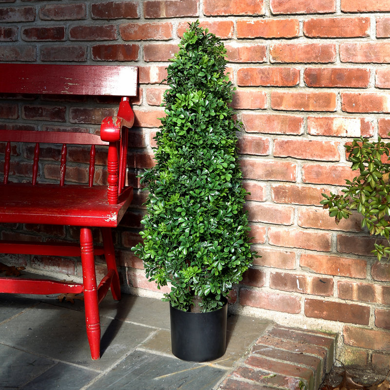Topiaire de feuillage buis dans un pot de fleurs, H 37 po x l 11 po x P 35 po