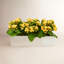 Kalanchoe Arrangement in Fiberstone Planter-1646607056-1624349390