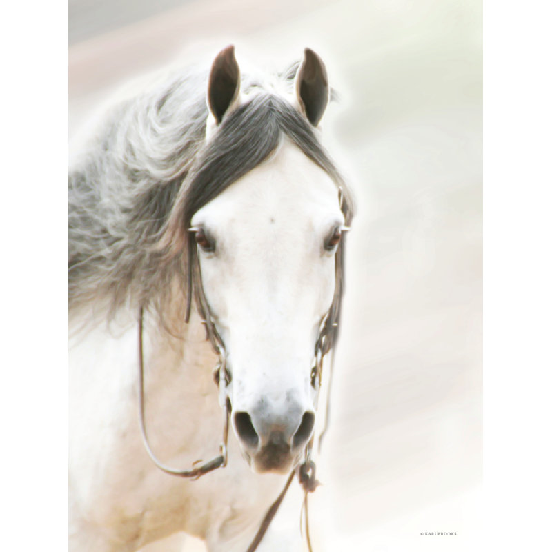 «The Gray Reiner» sur toile par Kari Brooks, H 12 po x l 8 po