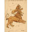 Leo Print by Grand Archives-776588558-776588559