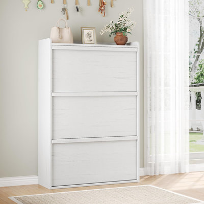 12 Pair Shoe Storage Cabinet