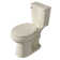17" Tall Seat Toilet 1.28 GPF Single Flush Round Map Flush 1000g with Soft-Close Seat