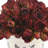 Dried Rose Bundle in Ceramic Pot-882285121