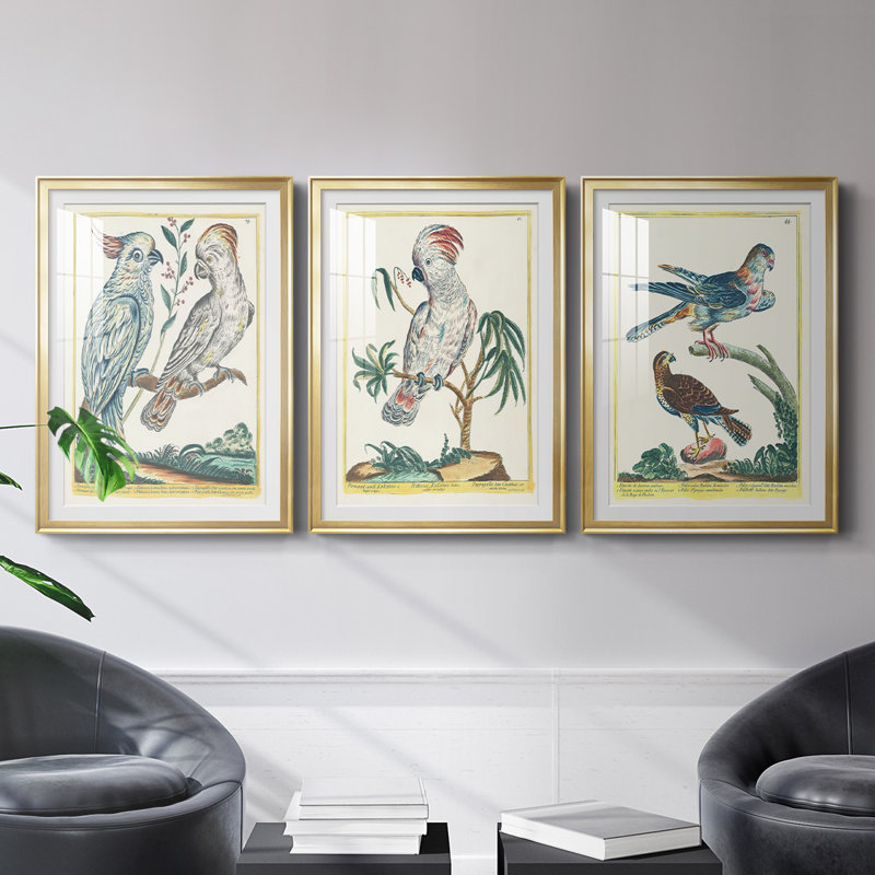 «Pastel Birds I», reproduction encadrée de qualité supérieure - prête à être accrochée, Cadre doré