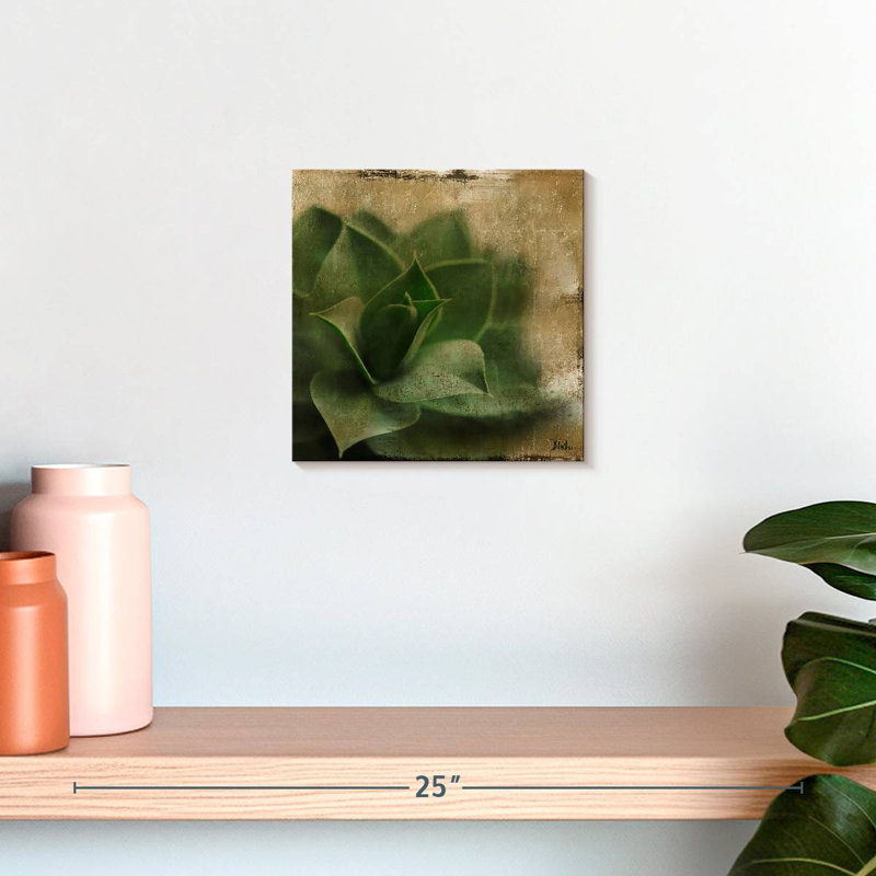 Harnek Succulent II, 10" H x 10" W