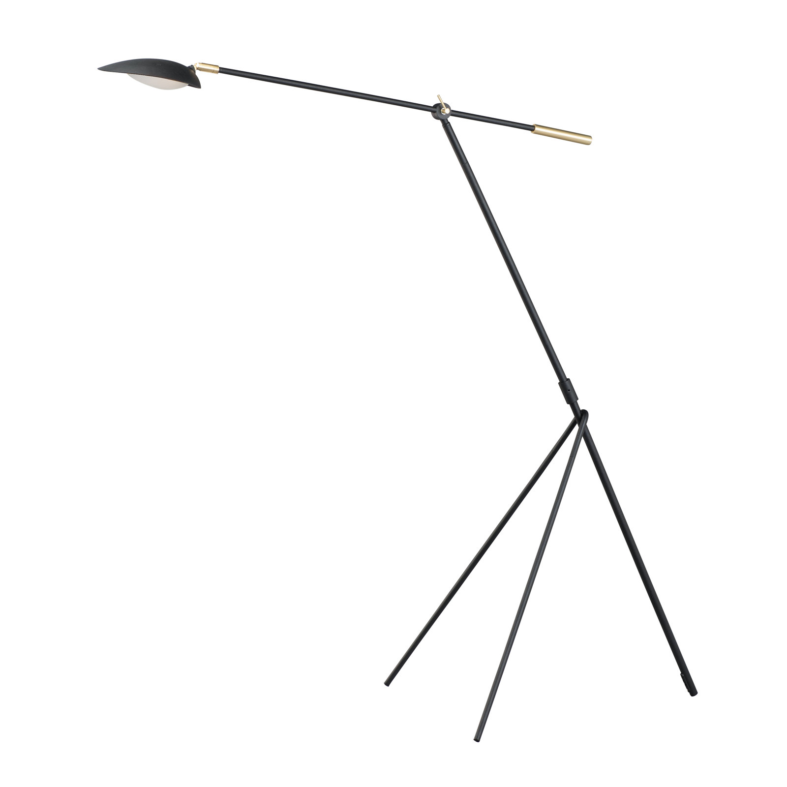 Cillian 60.5'' Dimmable LED Floor Lamp