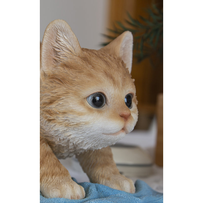 Chaton lavant le sol