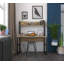 Alrik Leaning / Ladder Desk