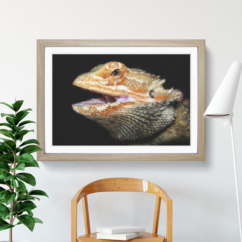 Bearded Dragon Lizard - Picture Frame Photograph, 27cm H x 36cm W x 2cm D, Oak Framed