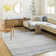 Reid Grey Area Rug