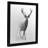 Gallery Style Poster Picture Frame
