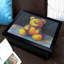Breakfast Tray