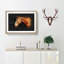 Chestnut Brown Horse - Picture Frame Graphic Art Print-56917169-56917170