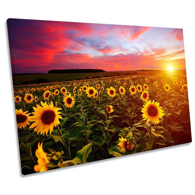 Sunflower Field Sunset - Wrapped Canvas Print