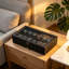 Watch Box +-798924738