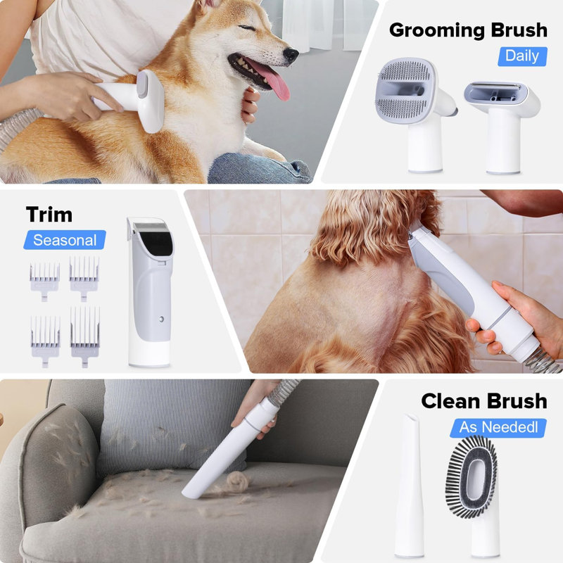 Trousses de lavage pour chien