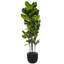 72 po plante verte violette en pot