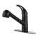 Nita Vantage Collection Single Handle Kitchen Faucet with Pull-out Spray