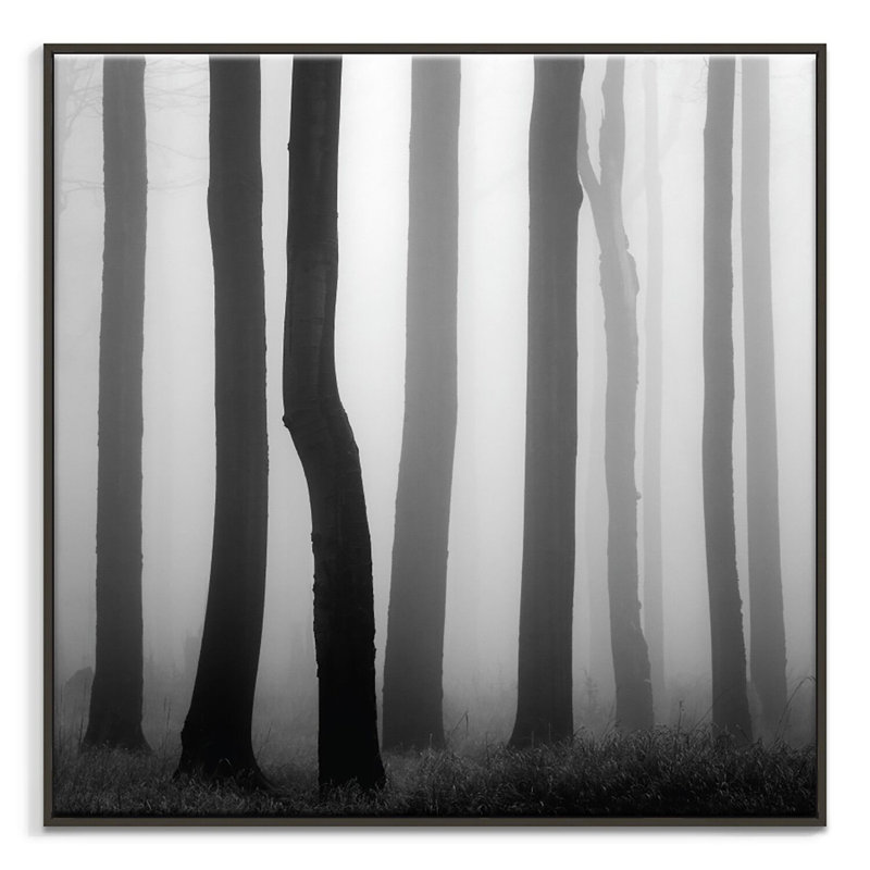 Print on Canvas, 61cm H x 61cm W, Black Floater Frame