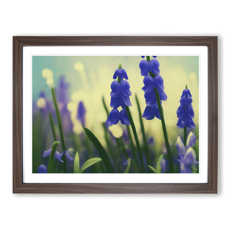 Bluebell Flower Vol.3 - Single Picture Frame Print, 46cm H x 64cm W x 2cm D, Walnut Framed